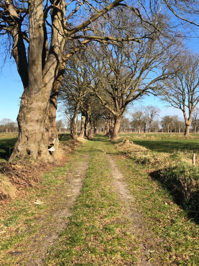 Gut Strackholt FeWo Seemannsgarn Grossefehn Exterior foto