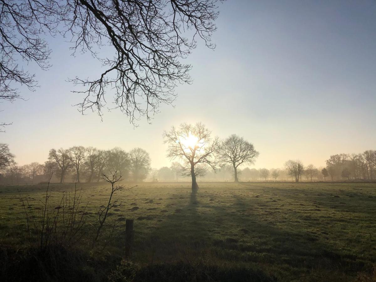 Gut Strackholt FeWo Seemannsgarn Grossefehn Exterior foto